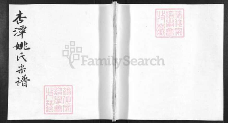 安徽省黄山市歙县王村镇姚氏族谱-杏潭姚氏宗谱.pdf电子版缩略图