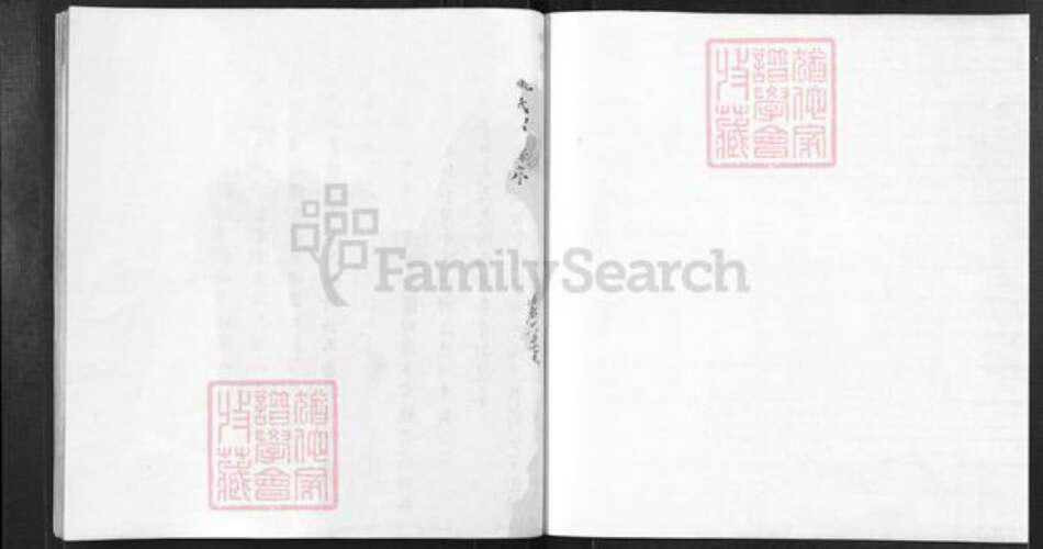 安徽省黄山市歙县王村镇姚氏族谱-杏潭姚氏宗谱.pdf电子版预览图1