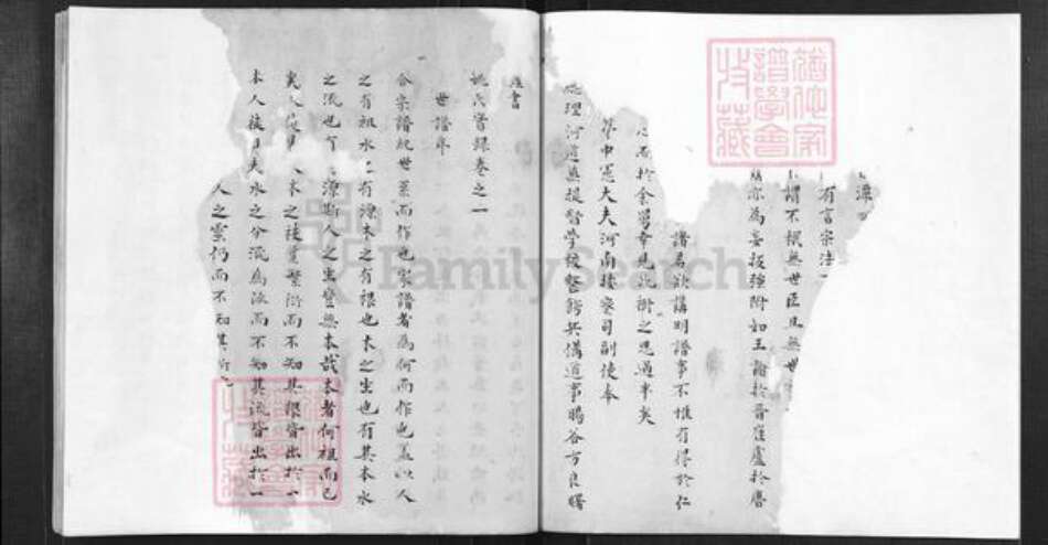 安徽省黄山市歙县王村镇姚氏族谱-杏潭姚氏宗谱.pdf电子版预览图2