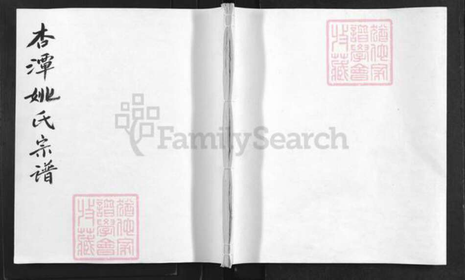 安徽省黄山市歙县王村镇姚氏族谱-杏潭姚氏宗谱.pdf电子版缩略图