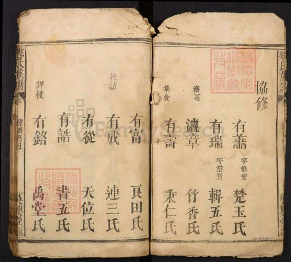 湖北省仙桃市姚氏族谱-姚氏族谱.pdf电子版预览图3