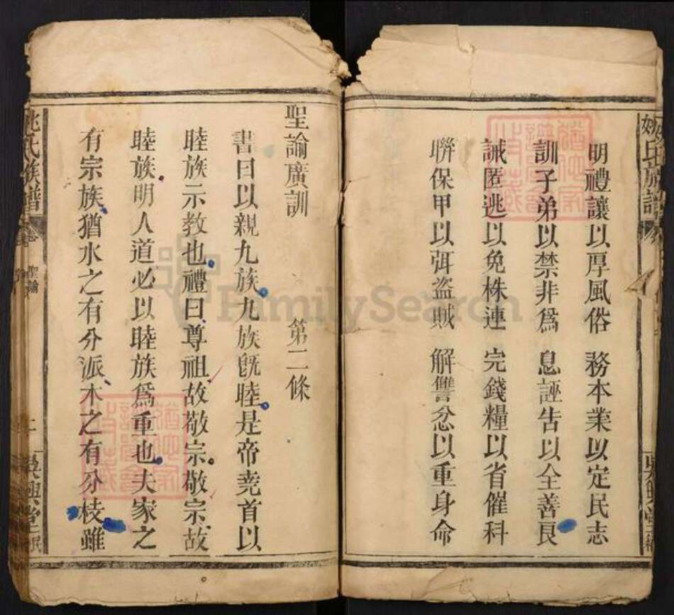 湖北省仙桃市姚氏族谱-姚氏族谱.pdf电子版预览图5