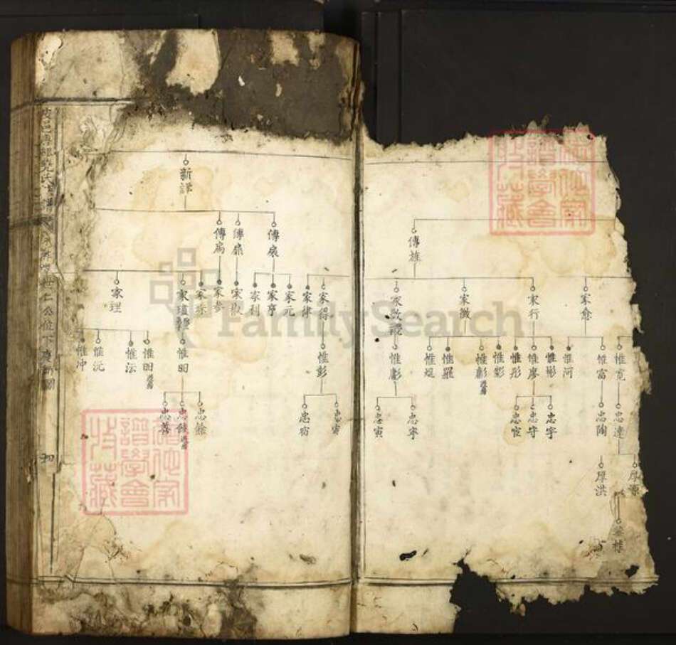 江西省南昌市南昌县富山乡尧氏族谱-安邑唐邨尧氏族谱.pdf电子版预览图3