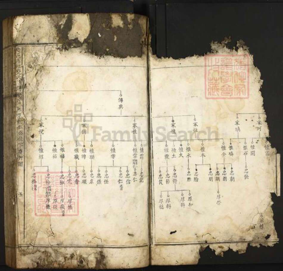 江西省南昌市南昌县富山乡尧氏族谱-安邑唐邨尧氏族谱.pdf电子版预览图4