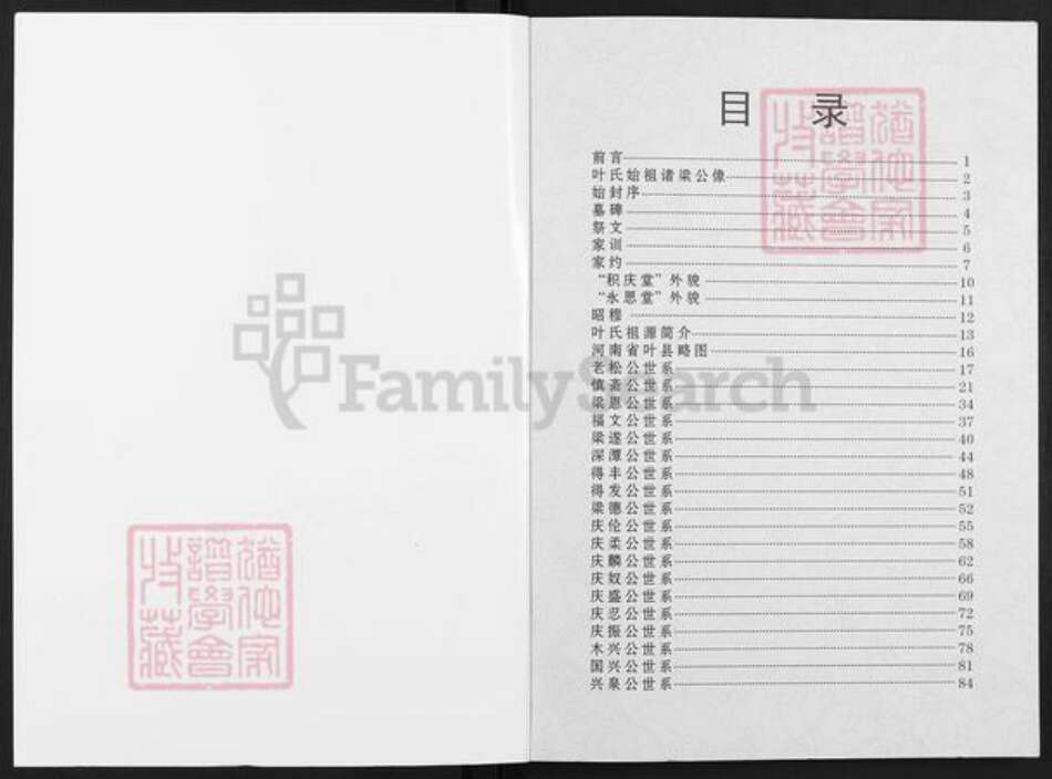 广东省揭阳市普宁市南径镇叶氏永思堂族谱-林内叶氏慎斋公宗谱.pdf电子版预览图2