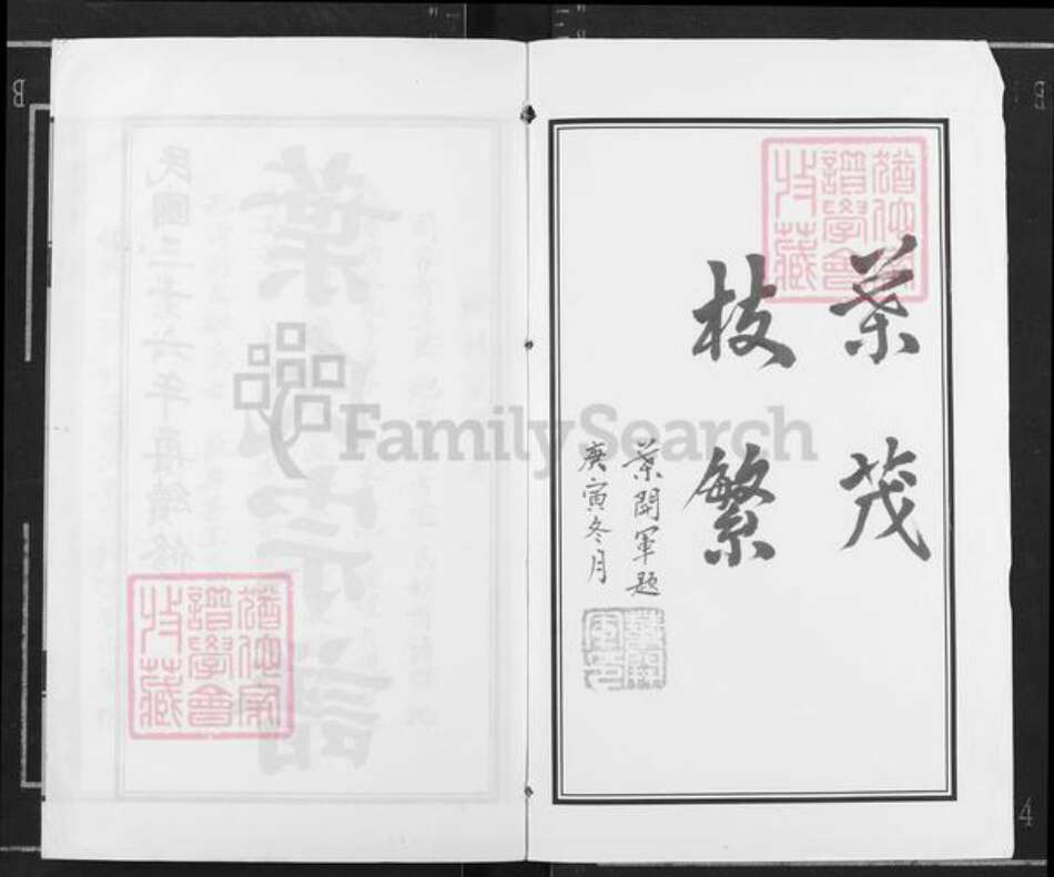 湖北省武汉市江汉区武汉叶氏族谱-叶氏宗谱.pdf电子版预览图1