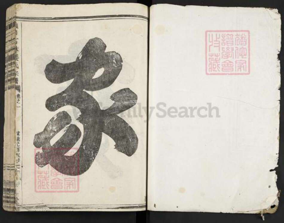 浙江省金华市金东区赤松镇叶氏绥思堂族谱-山口石林叶氏宗谱.pdf电子版预览图1