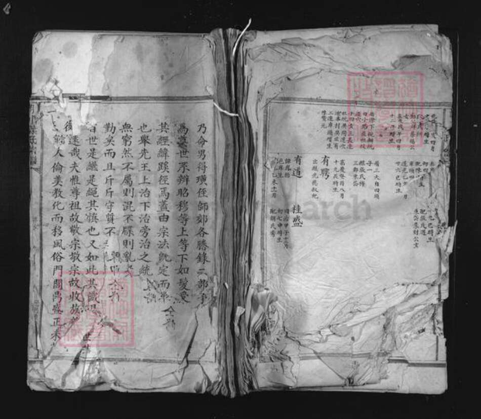 浙江省金华市永康市前仓镇叶氏族谱-朝川叶氏宗谱.pdf电子版缩略图