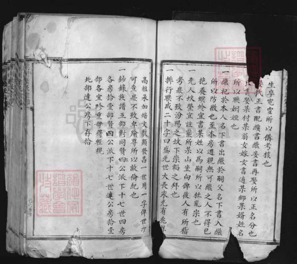 浙江省金华市永康市前仓镇叶氏族谱-朝川叶氏宗谱.pdf电子版预览图3