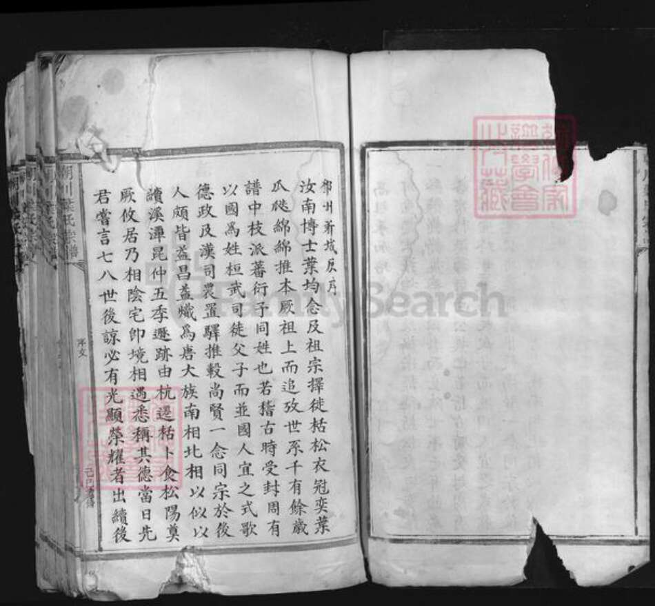 浙江省金华市永康市前仓镇叶氏族谱-朝川叶氏宗谱.pdf电子版预览图4