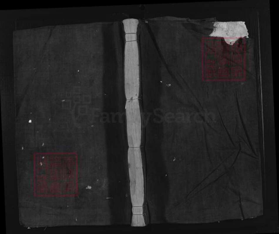 浙江省丽水市松阳县竹源乡叶氏族谱-南阳郡叶氏宗谱.pdf电子版缩略图