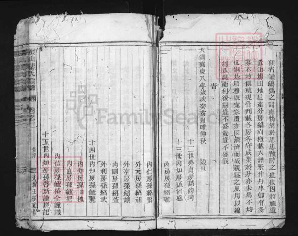 浙江省叶氏族谱-张山叶氏宗谱.pdf电子版预览图3