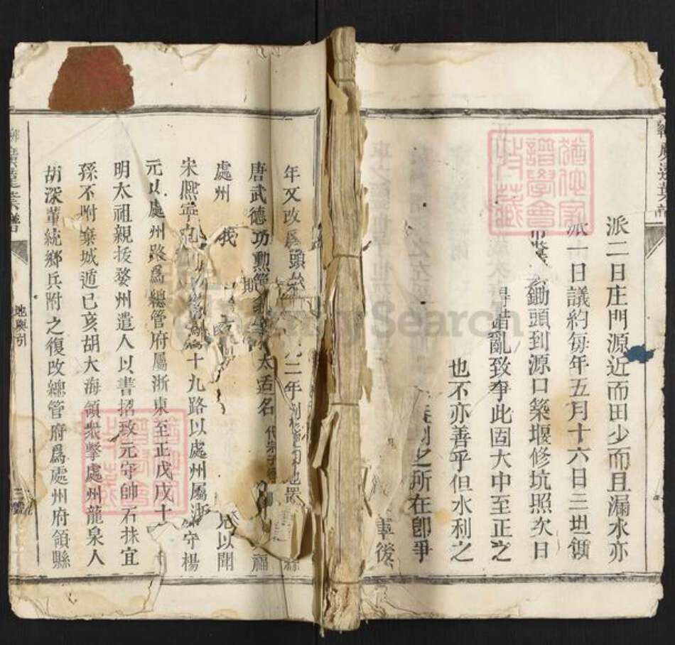 浙江省丽水市松阳县叶氏族谱-卯峰广远叶谱.pdf电子版缩略图