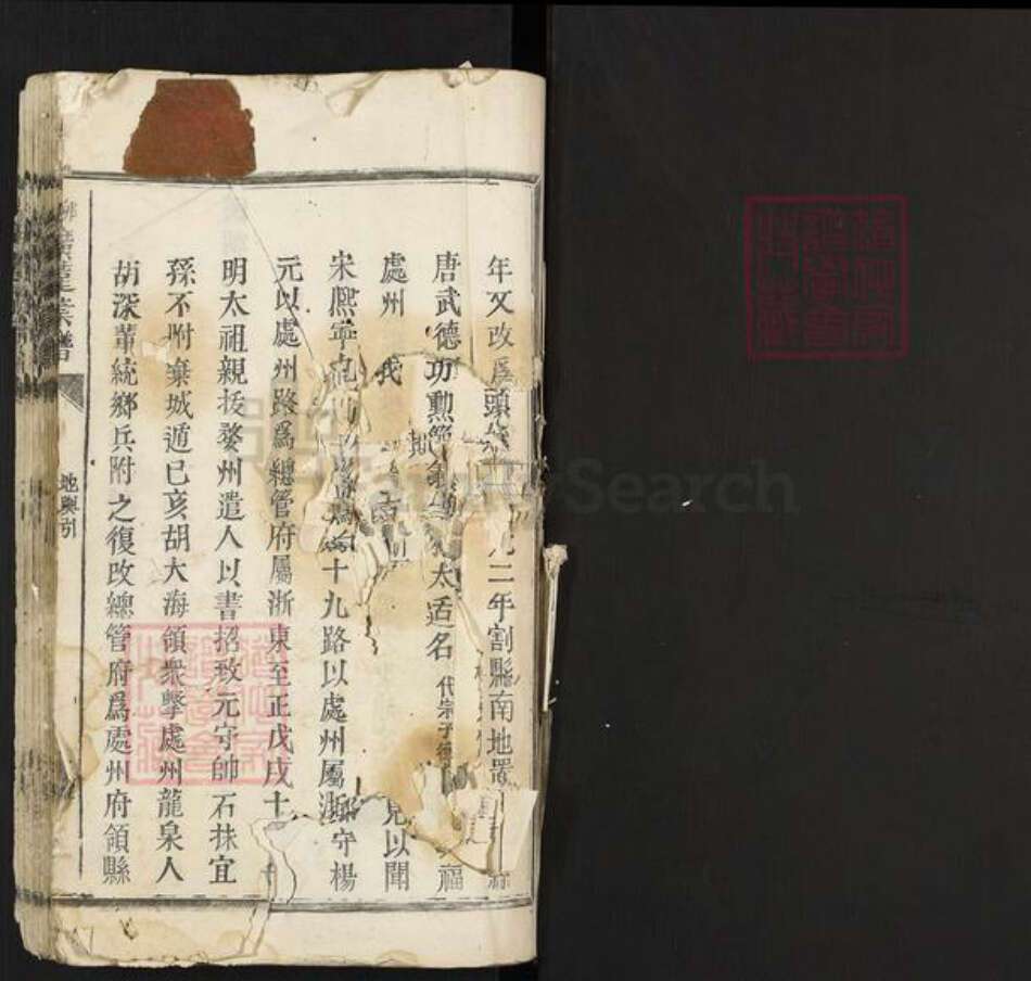 浙江省丽水市松阳县叶氏族谱-卯峰广远叶谱.pdf电子版预览图1