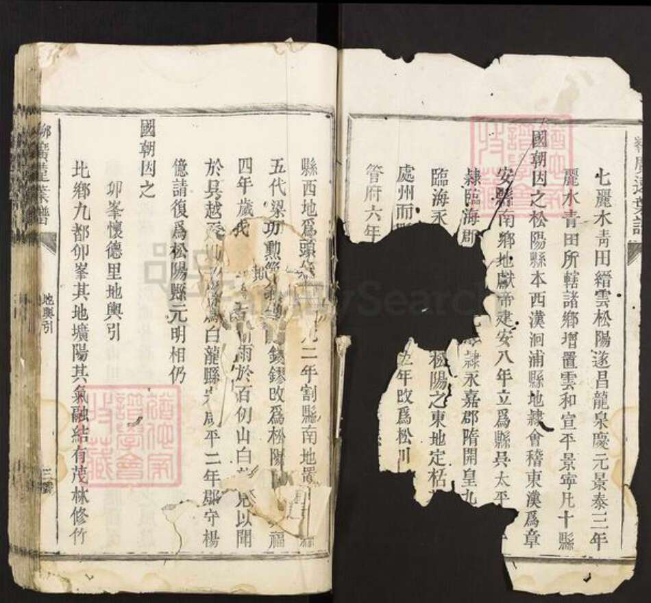 浙江省丽水市松阳县叶氏族谱-卯峰广远叶谱.pdf电子版预览图2