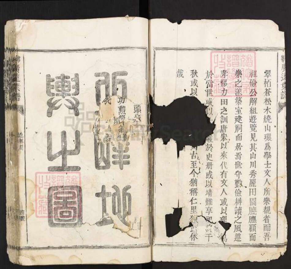 浙江省丽水市松阳县叶氏族谱-卯峰广远叶谱.pdf电子版预览图3