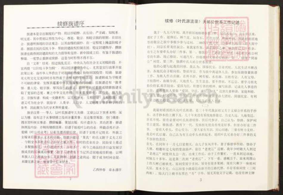 广东省广州市从化区叶氏族谱-叶氏源流录107世天祐祖世系族谱.pdf电子版预览图5