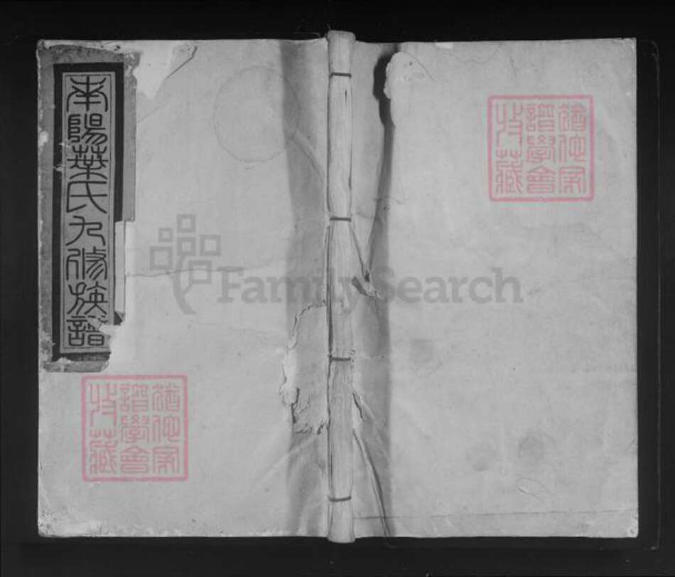 江西省赣州市石城县叶氏族谱-宁都南阳叶氏九修族谱.pdf电子版缩略图