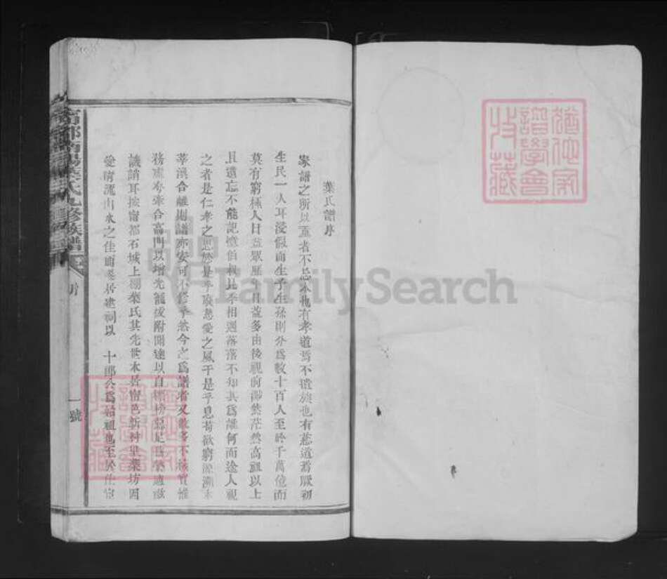 江西省赣州市石城县叶氏族谱-宁都南阳叶氏九修族谱.pdf电子版预览图1