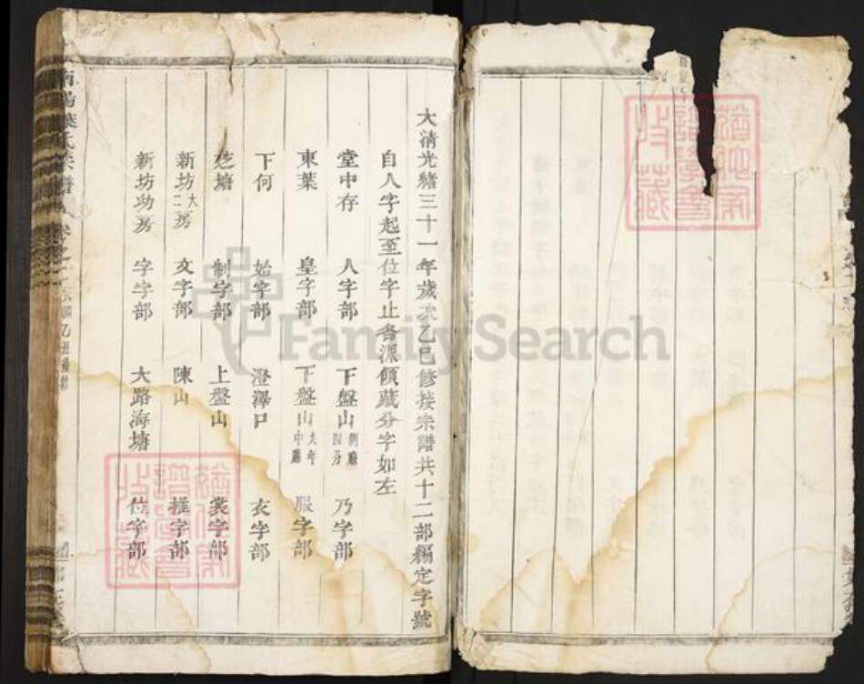 浙江省金华市兰溪市马涧镇叶氏如在堂族谱-南阳叶氏宗谱.pdf电子版预览图1