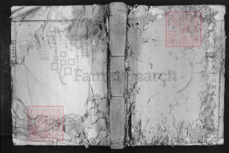 广东省韶关市南雄市叶氏族谱-七星树下叶都督公裔谱牒.pdf电子版缩略图