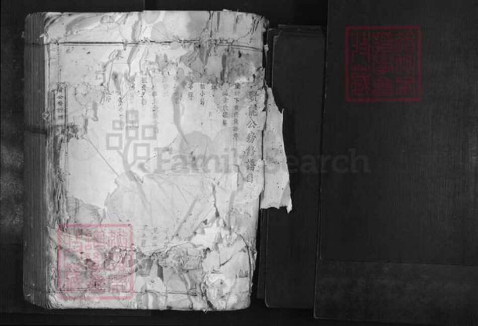 广东省韶关市南雄市叶氏族谱-七星树下叶都督公裔谱牒.pdf电子版预览图1