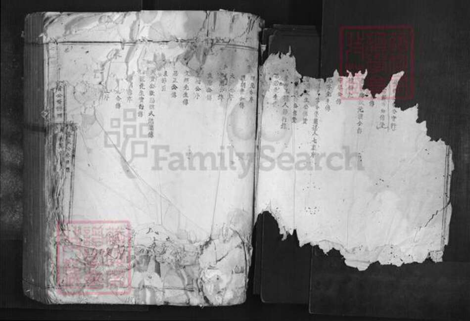 广东省韶关市南雄市叶氏族谱-七星树下叶都督公裔谱牒.pdf电子版预览图2