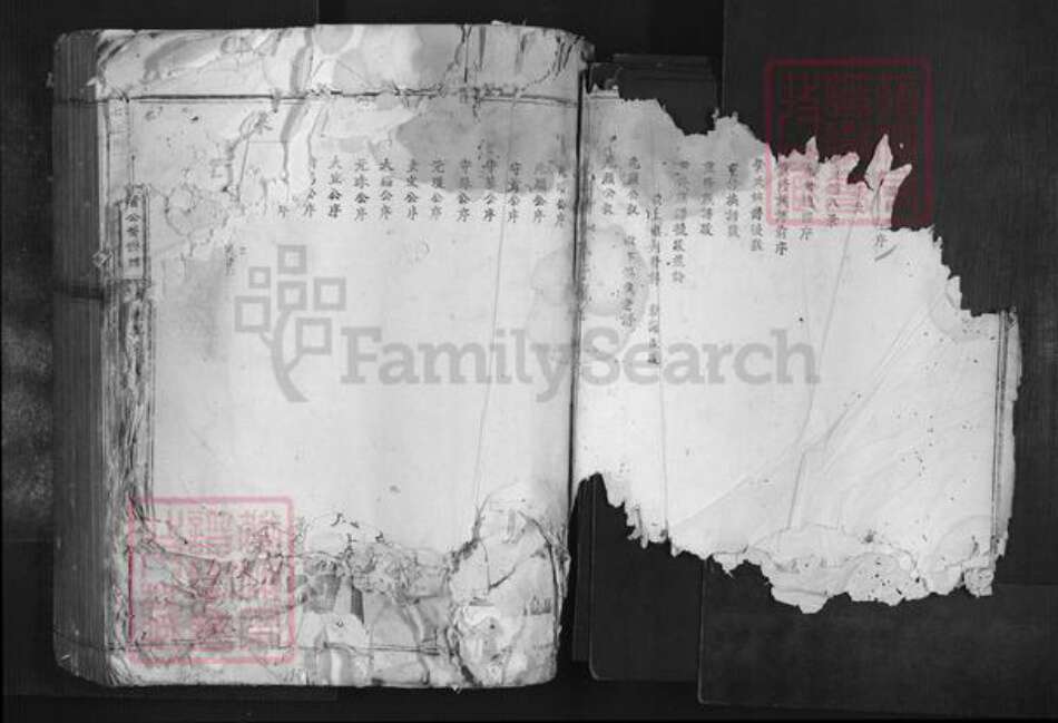 广东省韶关市南雄市叶氏族谱-七星树下叶都督公裔谱牒.pdf电子版预览图3