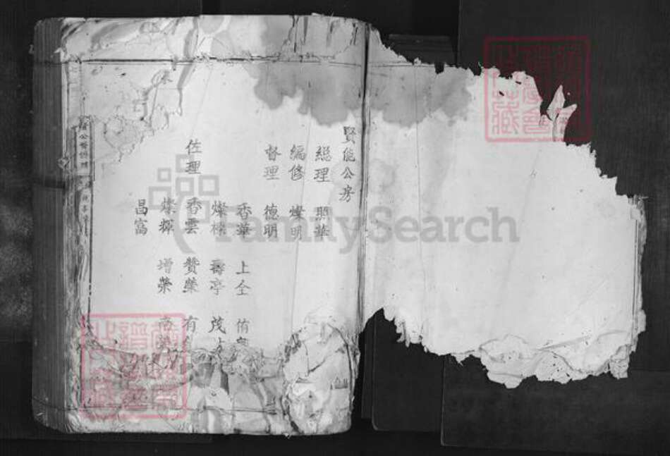 广东省韶关市南雄市叶氏族谱-七星树下叶都督公裔谱牒.pdf电子版预览图4