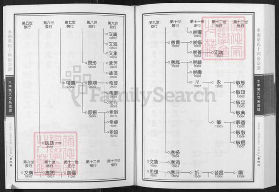 浙江省丽水市青田县叶氏族谱-水南叶氏十四房宗谱.pdf电子版预览图5