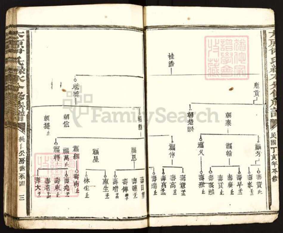 江西省赣州市石城县龙岗乡伊氏族谱-太原伊氏绿水分修族谱.pdf电子版预览图3