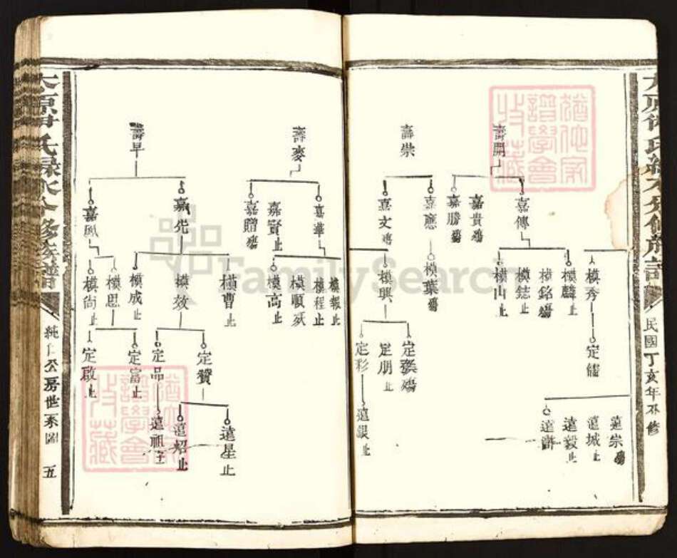 江西省赣州市石城县龙岗乡伊氏族谱-太原伊氏绿水分修族谱.pdf电子版预览图5