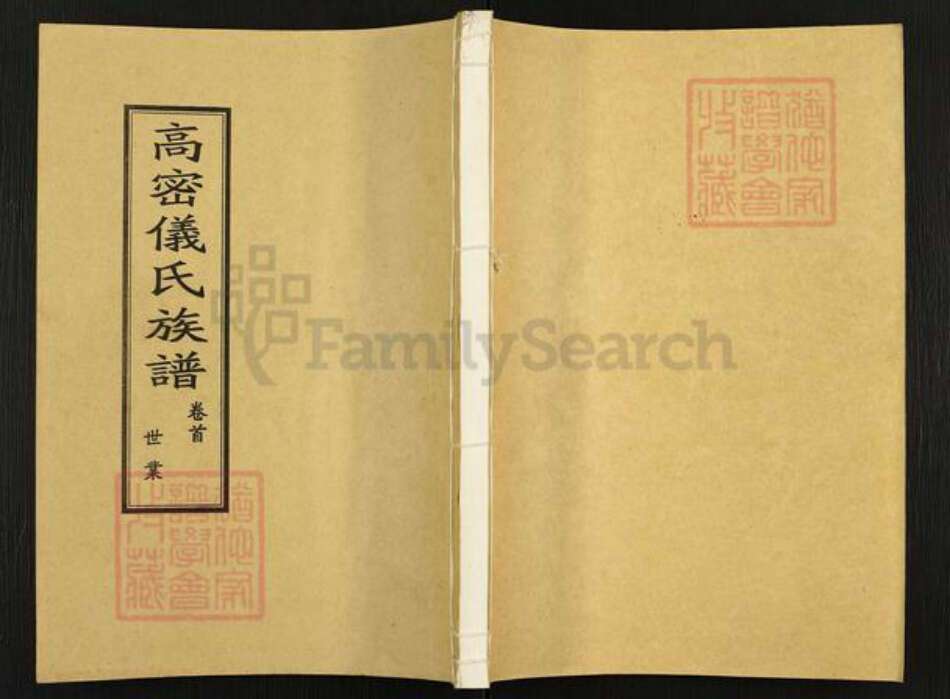 山东省潍坊市高密市仪氏族谱-高密仪氏族谱.pdf电子版缩略图