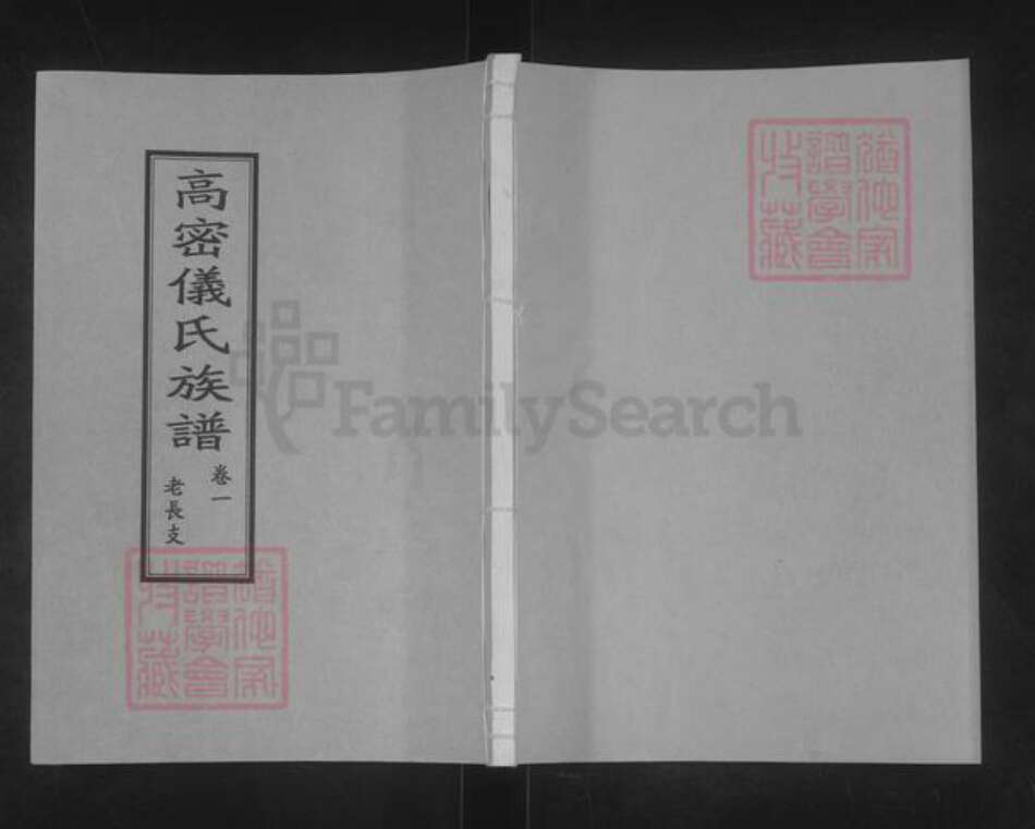 山东省潍坊市高密市朝阳街道仪氏族谱-高密仪氏族谱.pdf电子版缩略图