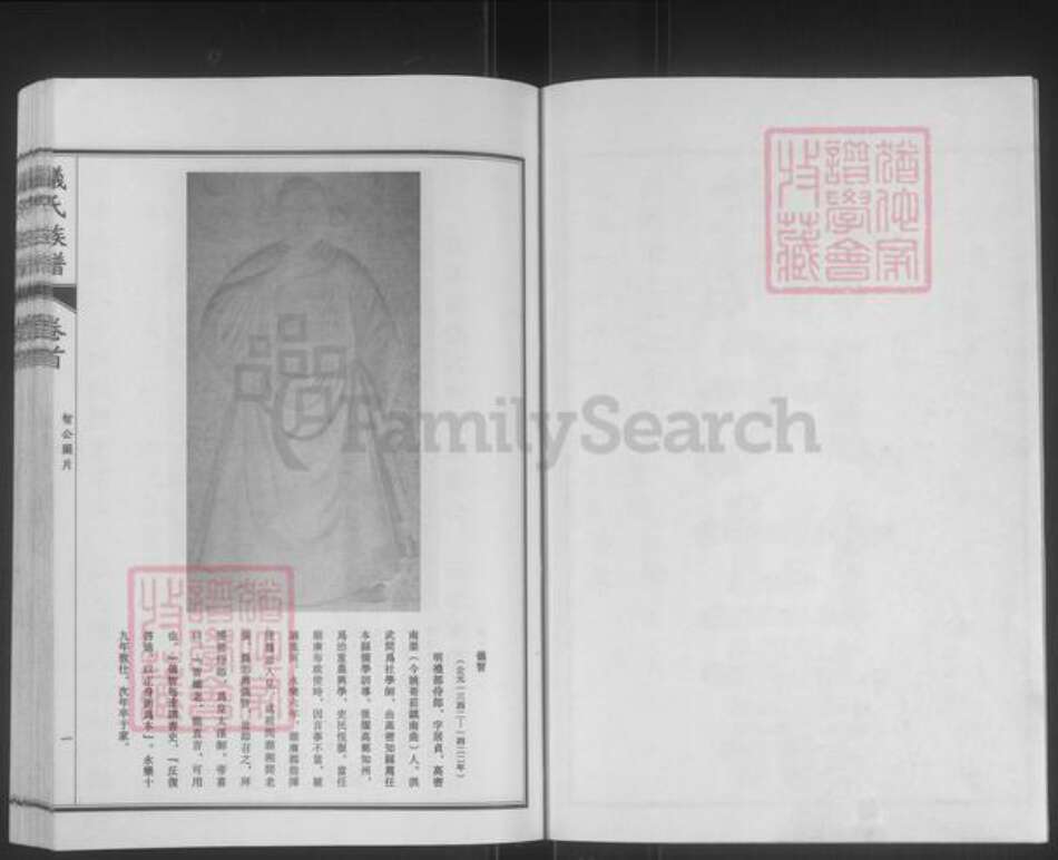 山东省潍坊市高密市朝阳街道仪氏族谱-高密仪氏族谱.pdf电子版预览图2