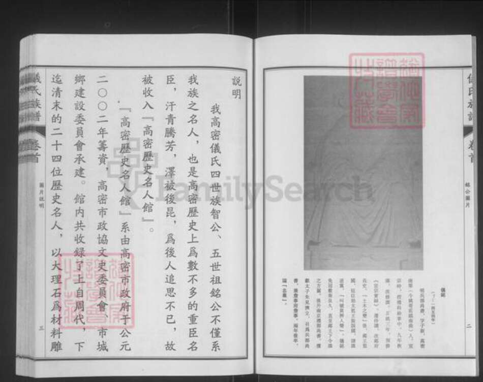 山东省潍坊市高密市朝阳街道仪氏族谱-高密仪氏族谱.pdf电子版预览图3