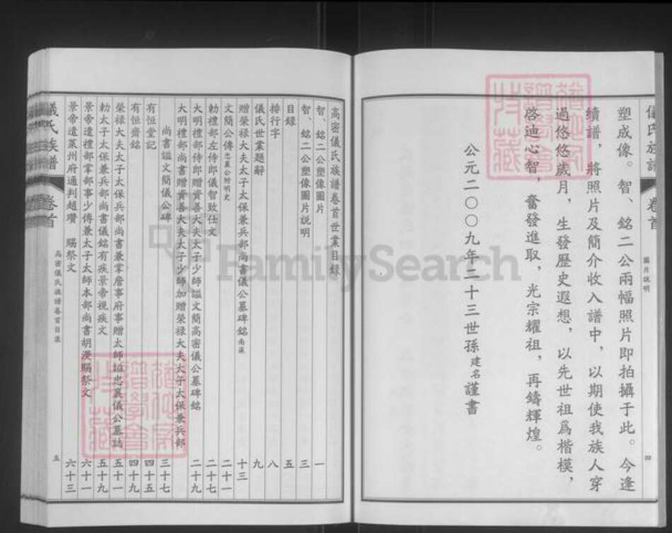 山东省潍坊市高密市朝阳街道仪氏族谱-高密仪氏族谱.pdf电子版预览图4