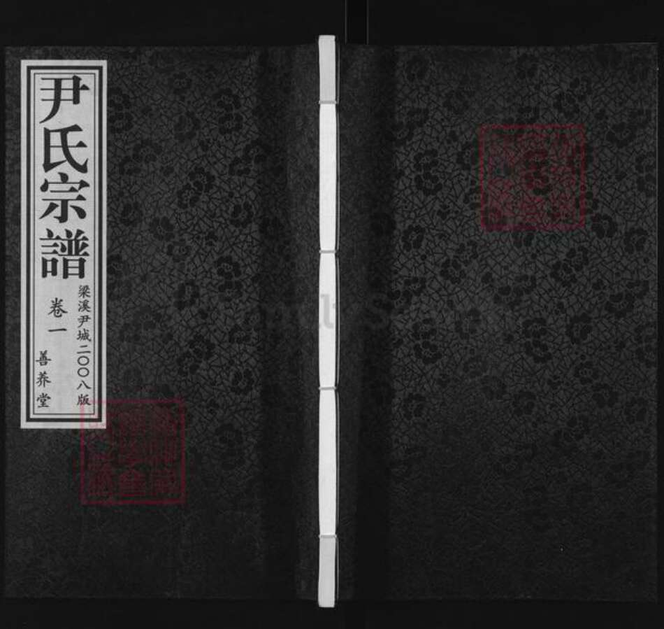 江苏省无锡市梁溪区尹氏善养堂族谱-尹氏宗谱.pdf电子版缩略图