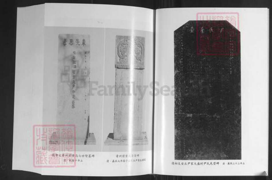 山东省潍坊市临朐县尹氏族谱-尹氏族谱.pdf电子版预览图5