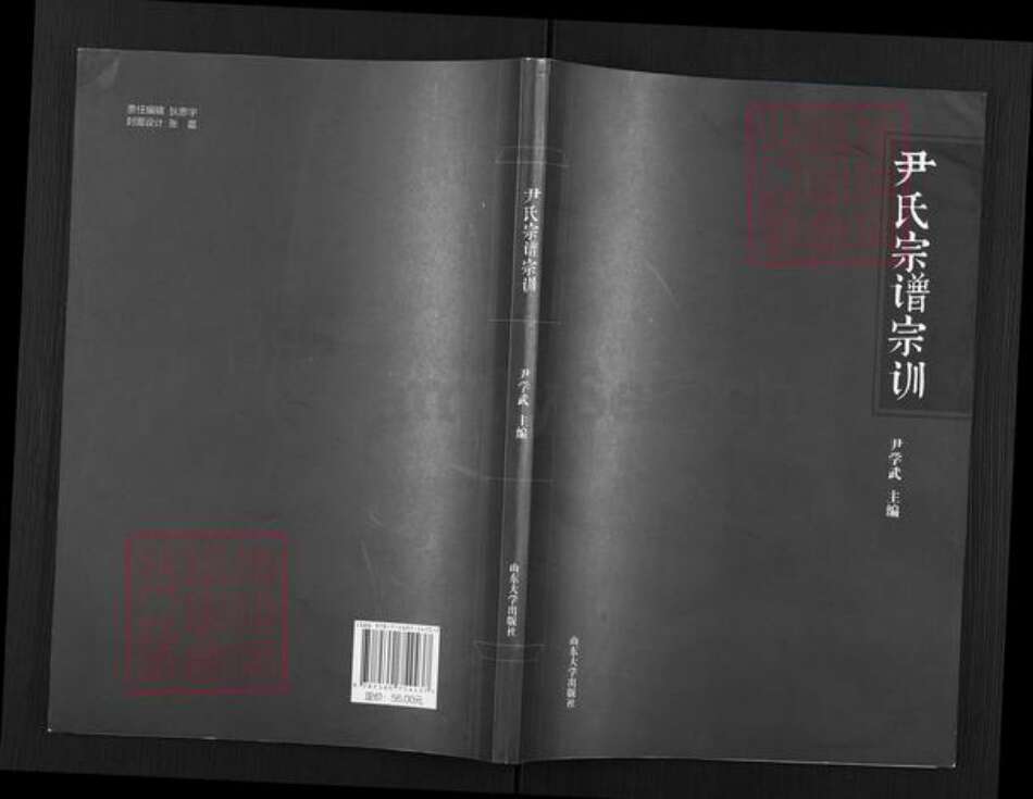 山东省烟台市海阳市朱吴镇尹氏族谱-尹氏宗谱宗训.pdf电子版缩略图