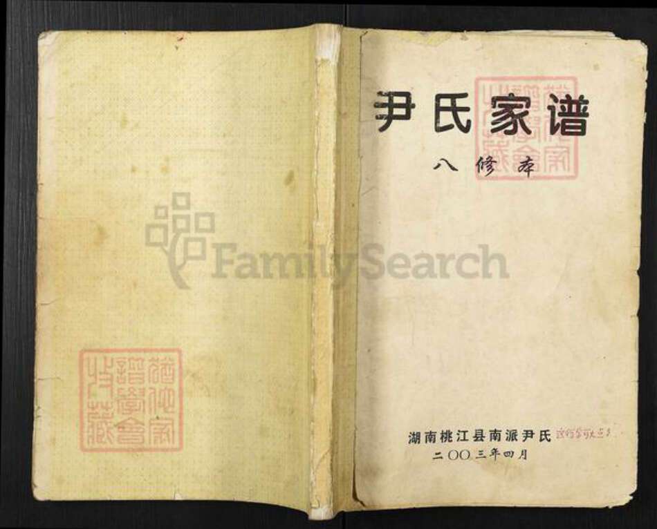 湖南省益阳市桃江县尹氏族谱-尹氏家谱.pdf电子版缩略图