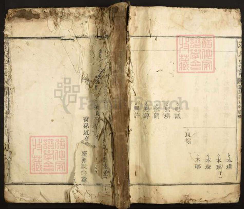 江西省抚州市乐安县公溪镇游氏族谱-游氏宗谱.pdf电子版缩略图