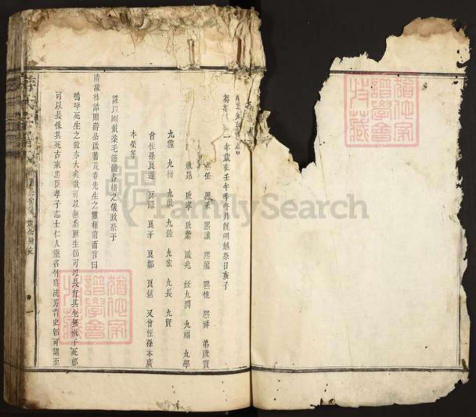 江西省抚州市乐安县公溪镇游氏族谱-游氏宗谱.pdf电子版预览图1