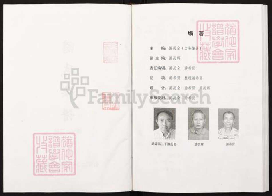 四川省绵阳市三台县潼川镇游氏族谱-游氏族谱.pdf电子版预览图2