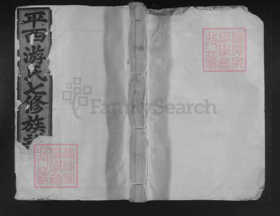 江西省抚州市东乡区游氏族谱-平西游氏七修族谱.pdf电子版缩略图