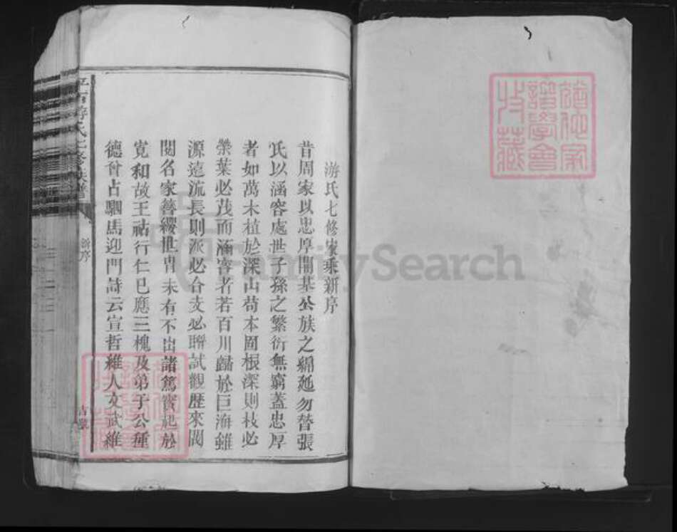 江西省抚州市东乡区游氏族谱-平西游氏七修族谱.pdf电子版预览图1