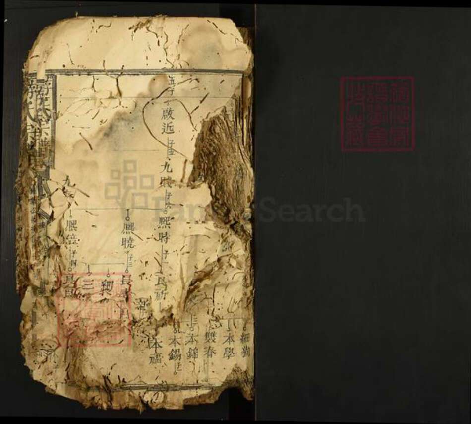 江西省抚州市黎川县樟溪乡游氏族谱-游氏宗谱.pdf电子版预览图1