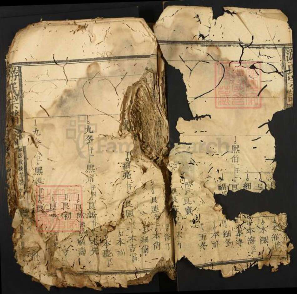 江西省抚州市黎川县樟溪乡游氏族谱-游氏宗谱.pdf电子版预览图2