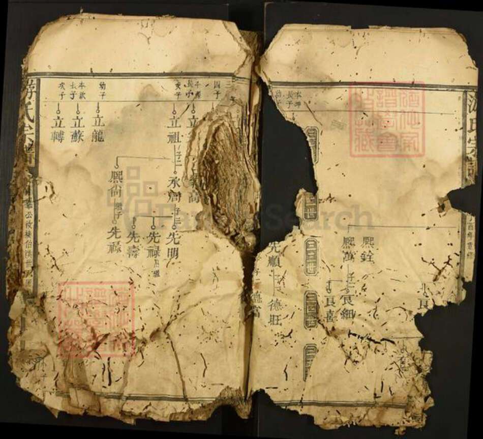 江西省抚州市黎川县樟溪乡游氏族谱-游氏宗谱.pdf电子版预览图5