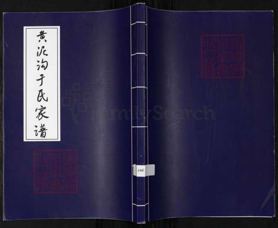 山东省烟台市于氏族谱-黄泥沟于氏家谱.pdf电子版缩略图